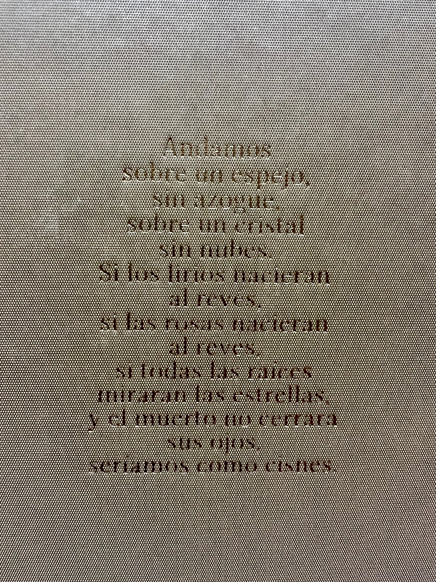 The Adventures of Guille and Belinda and The Illusion of an Everlasting Summer