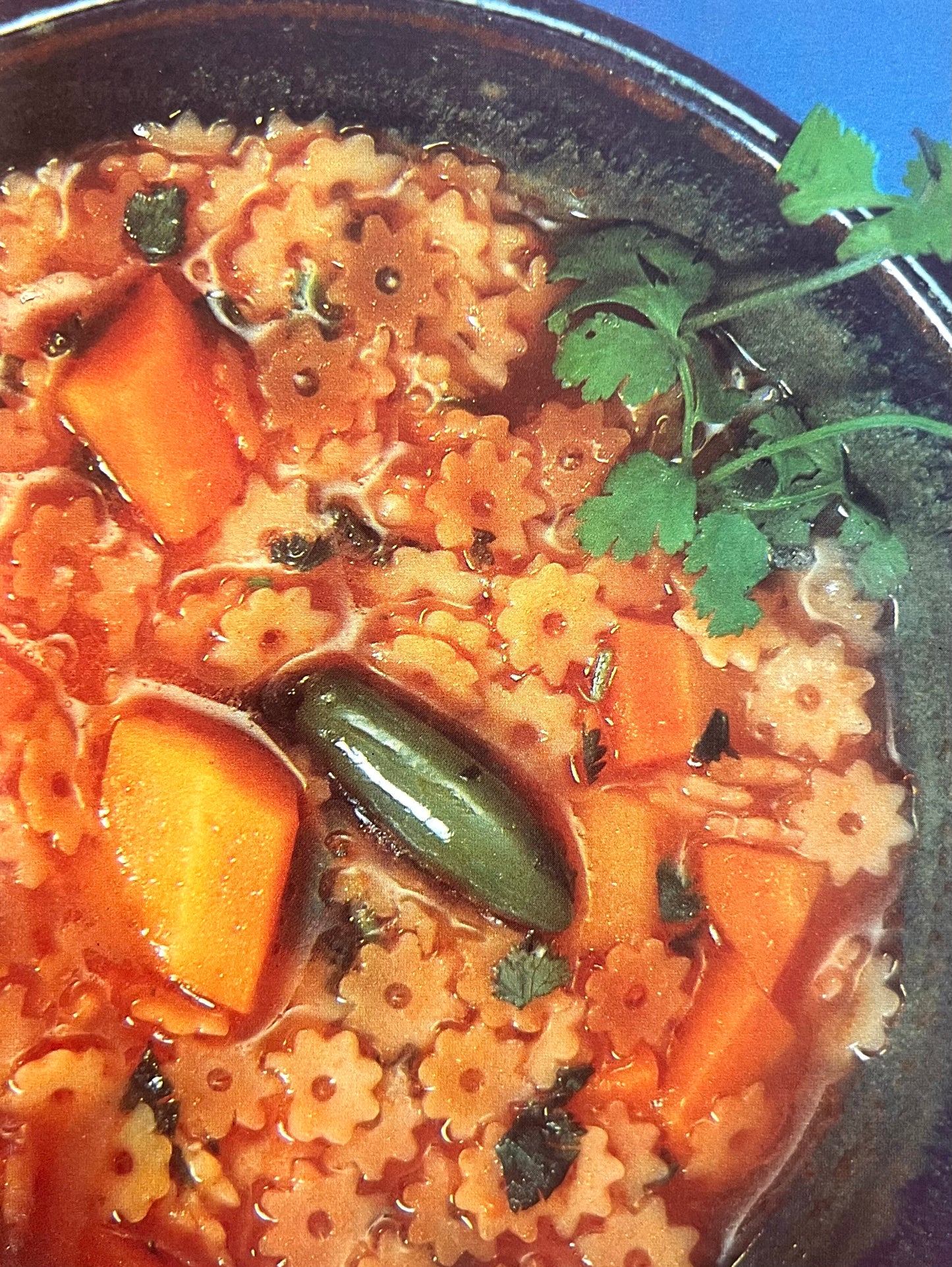 Guía para la alimentación de la familia mexicana (ahorre, combine, disfrute y nútrase)