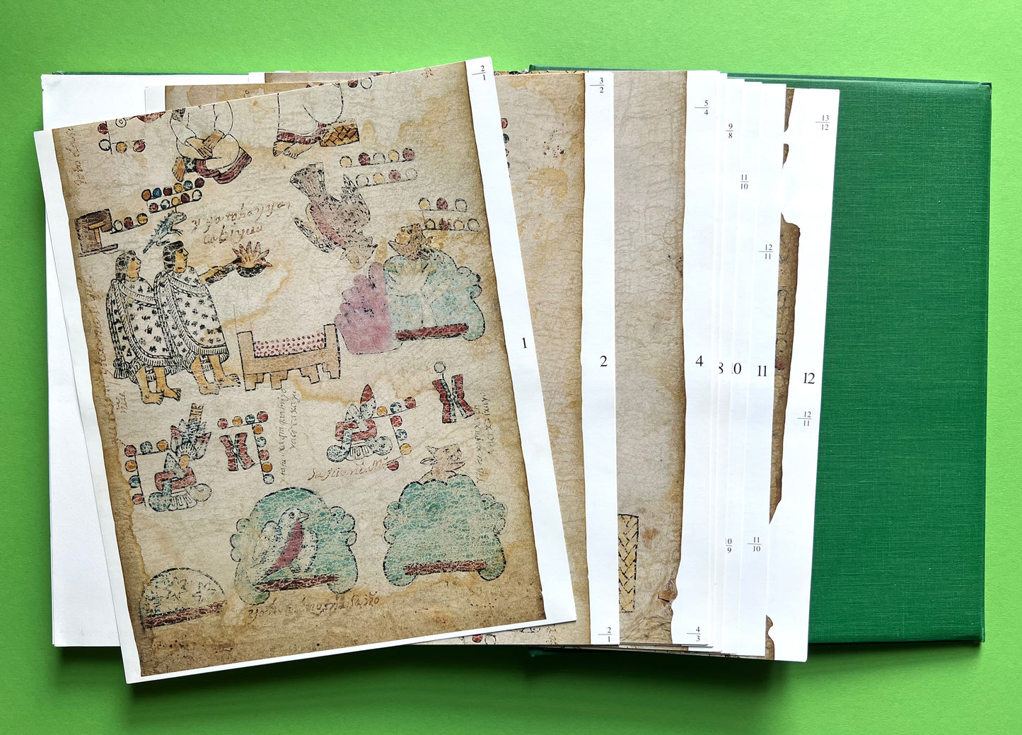 The Codex Tulane
