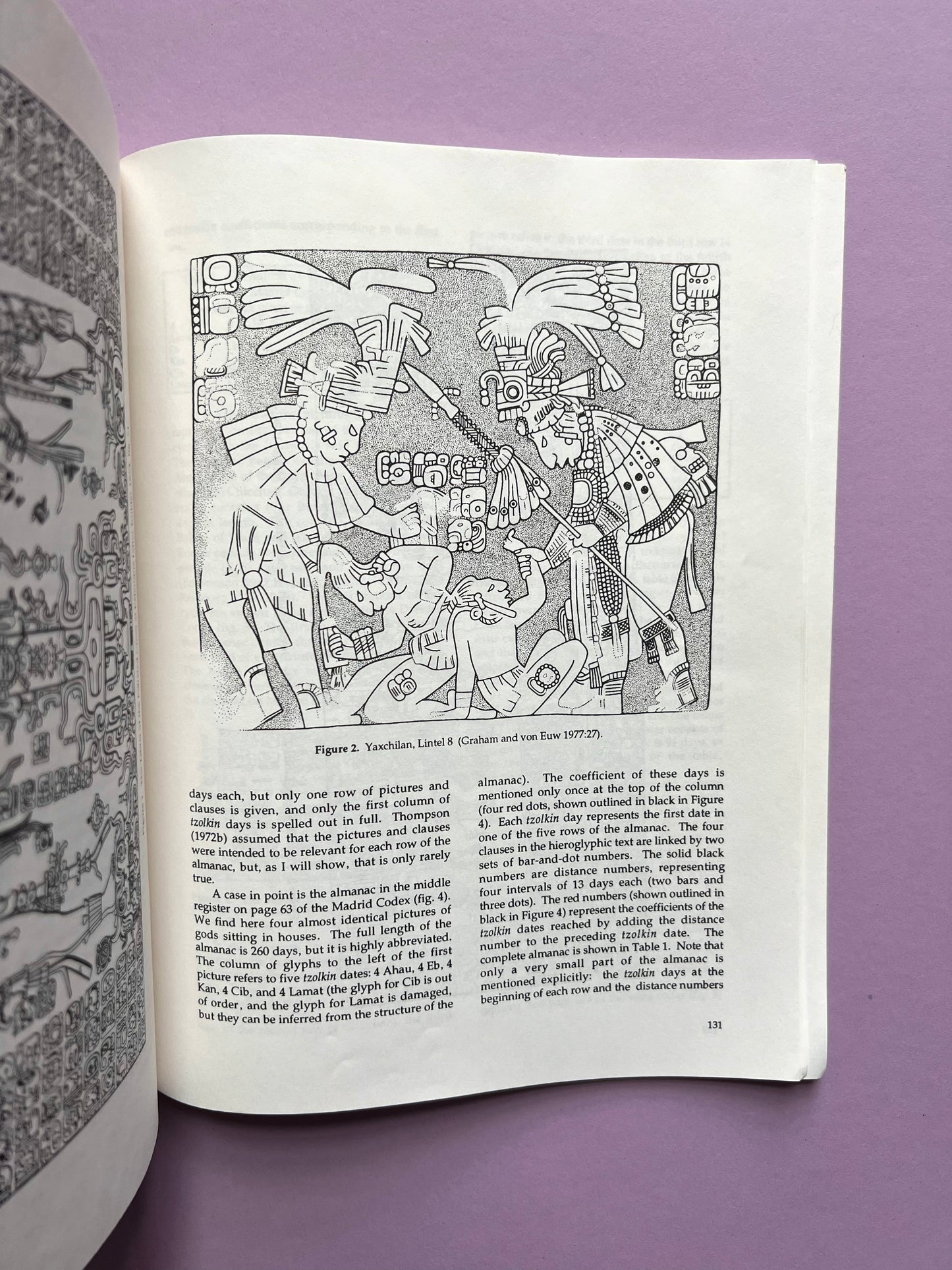 The Language of Maya Hieroglyphs