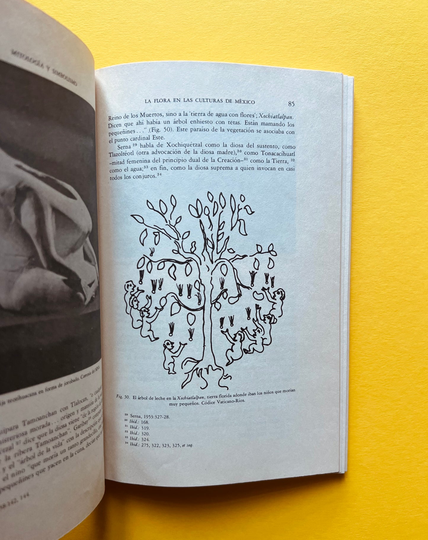 mitología y simbolismo de la flora en el méxico prehispánico