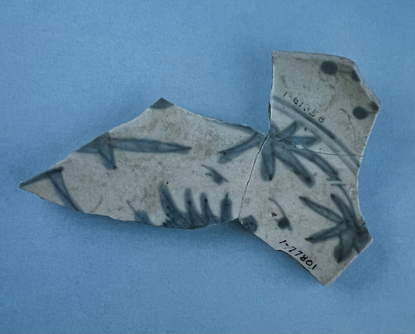 Chinese Ceramics in Colonial México