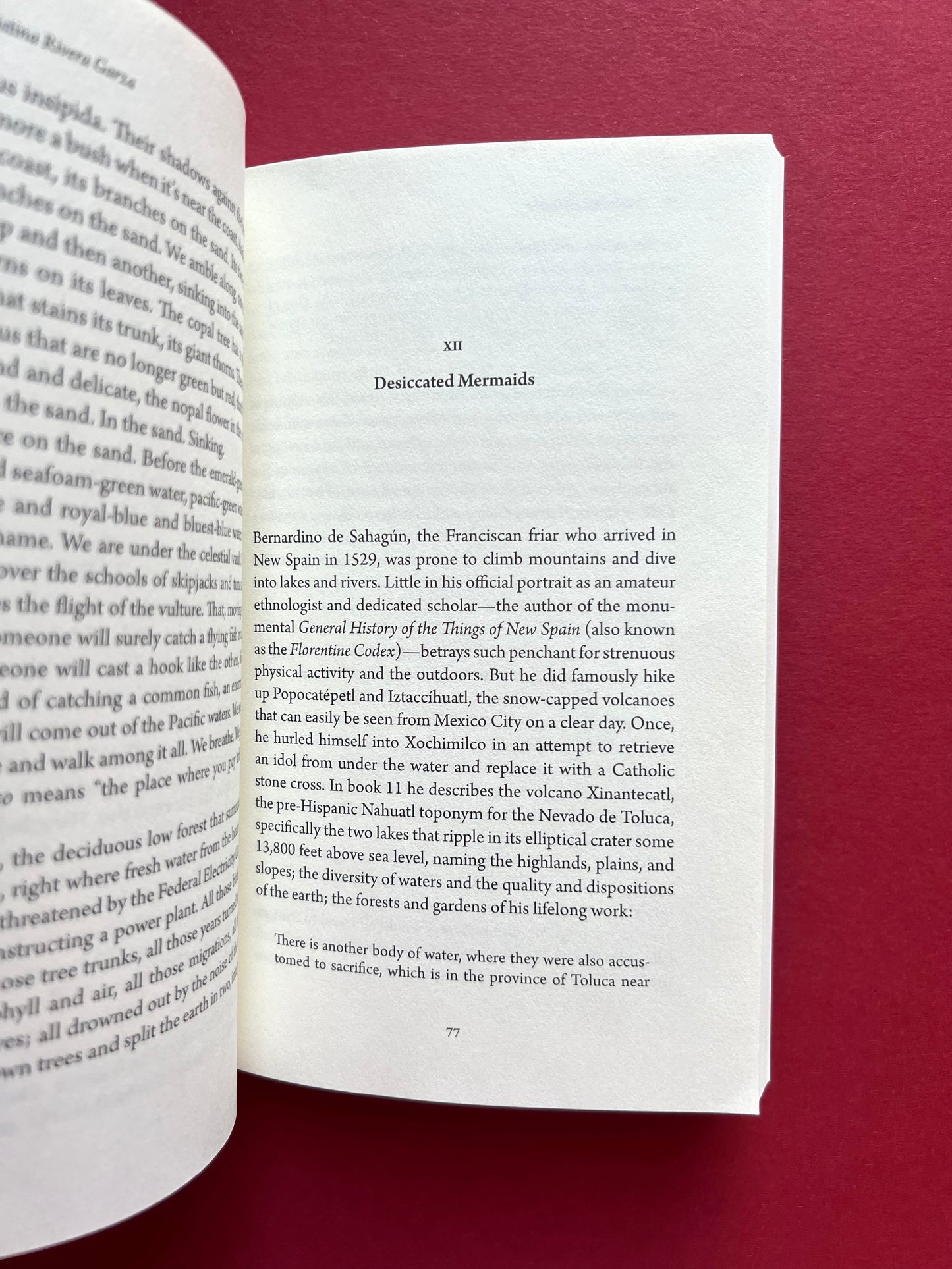 Grieving: Dispatches from a Wounded Country