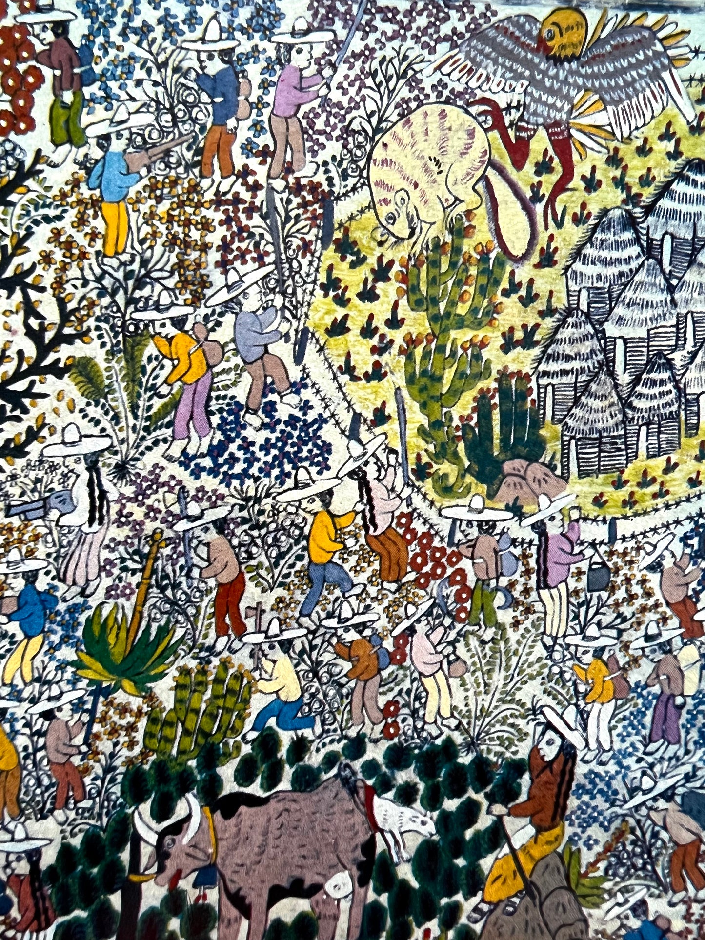 el universo del amate