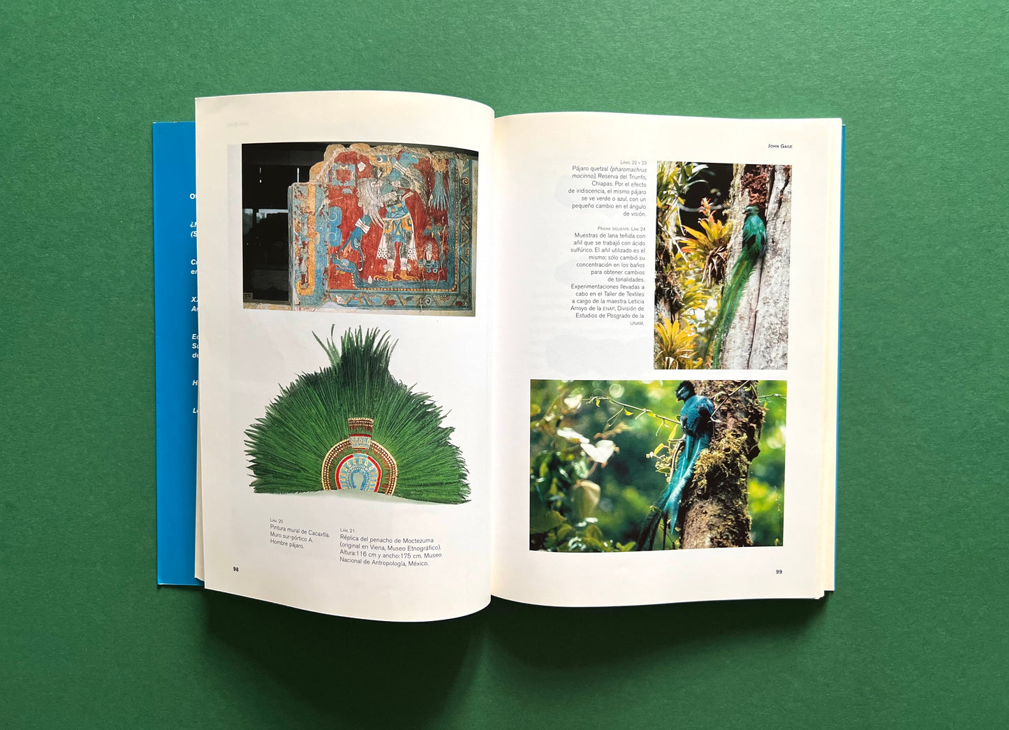 El Color en el Arte Mexicano