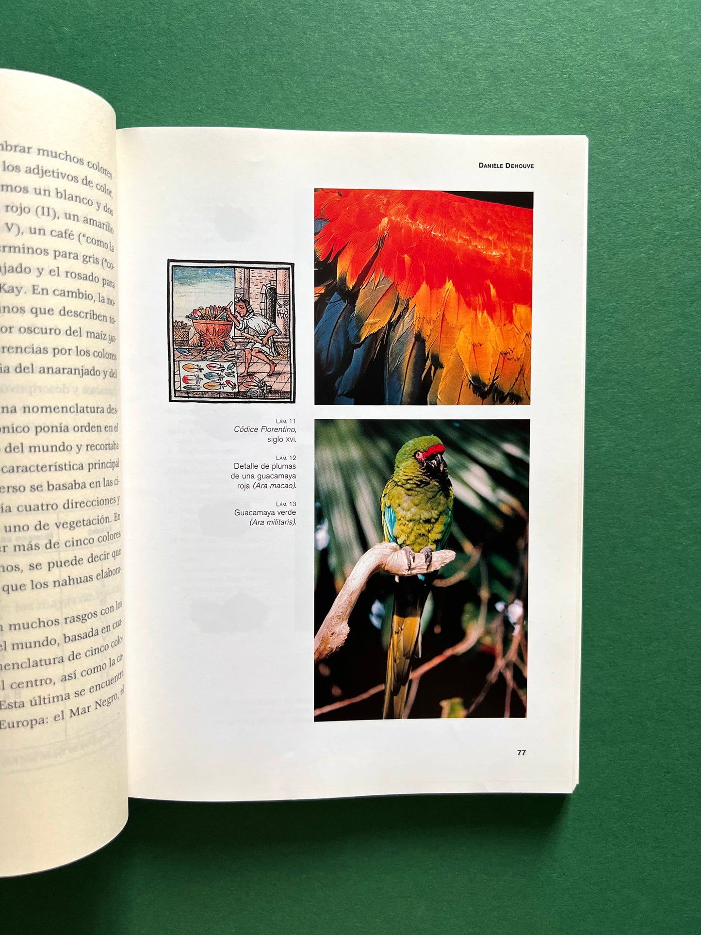 El Color en el Arte Mexicano