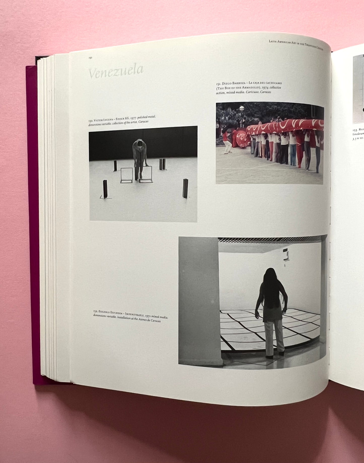 Latin American Art in the Twentieth Century