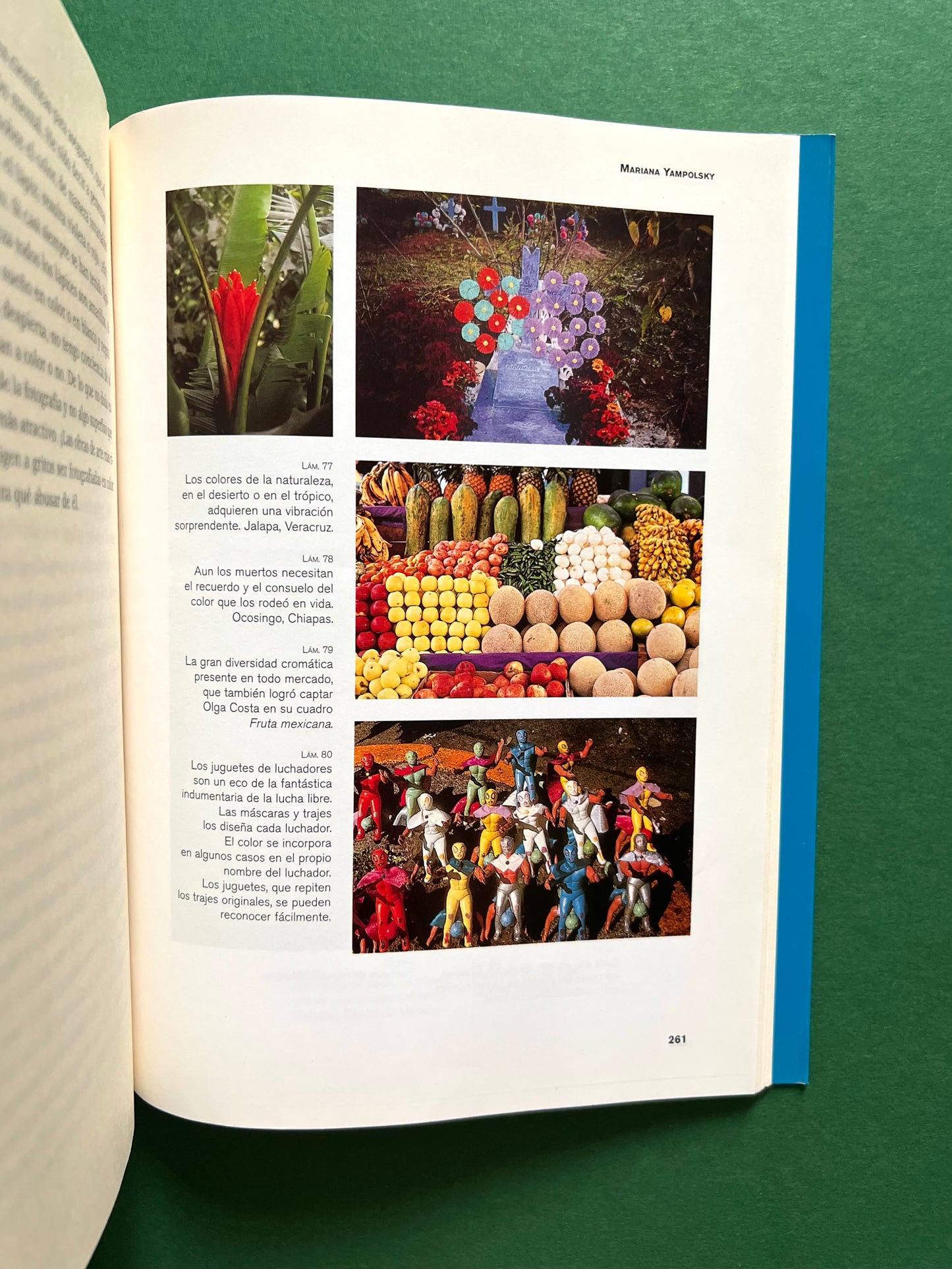 El Color en el Arte Mexicano