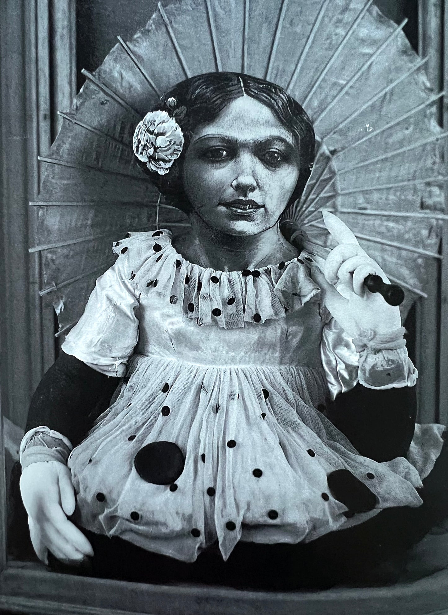 Arte argentino contemporáneo