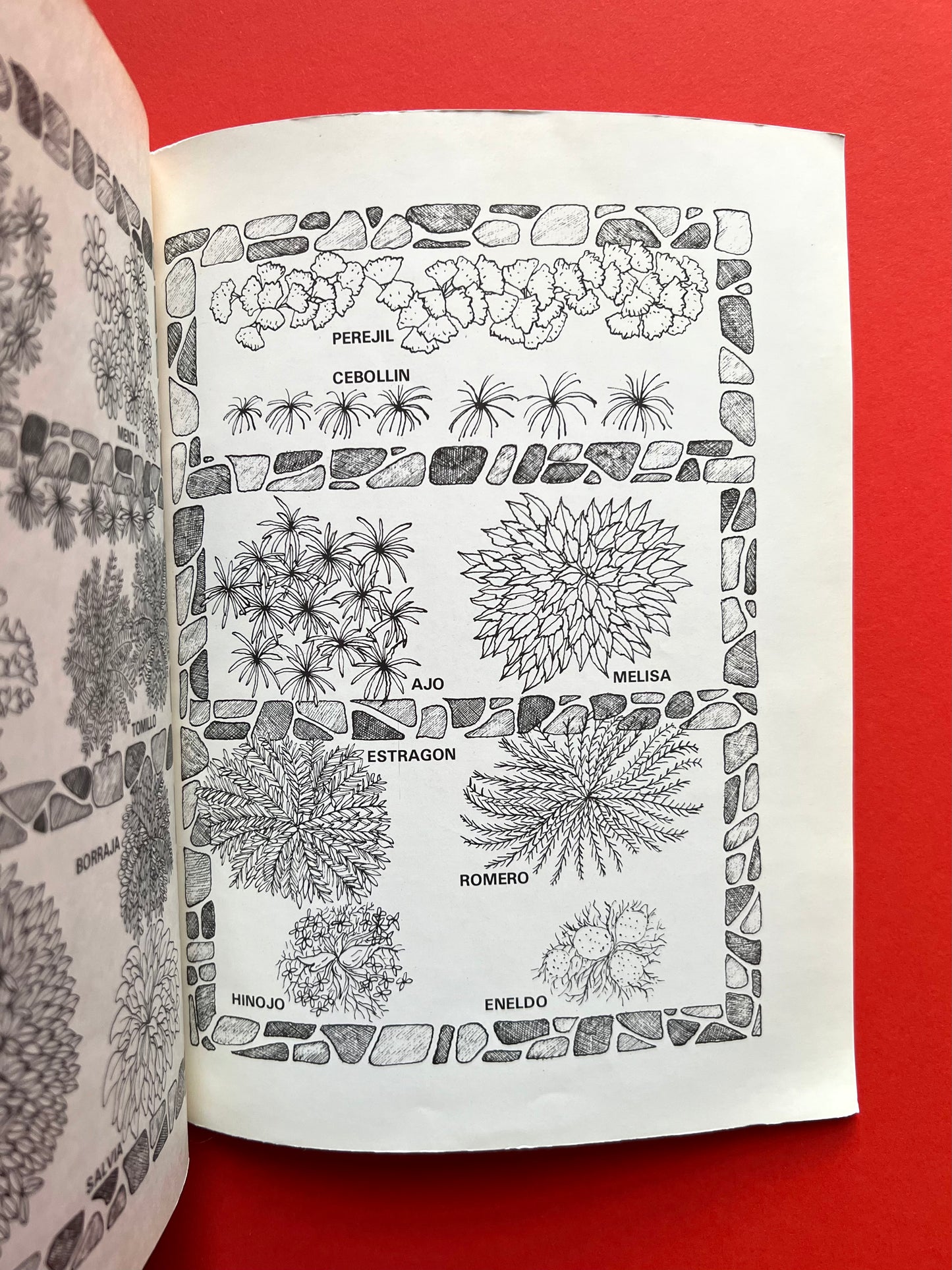 Y la comida se hizo...para celebrar