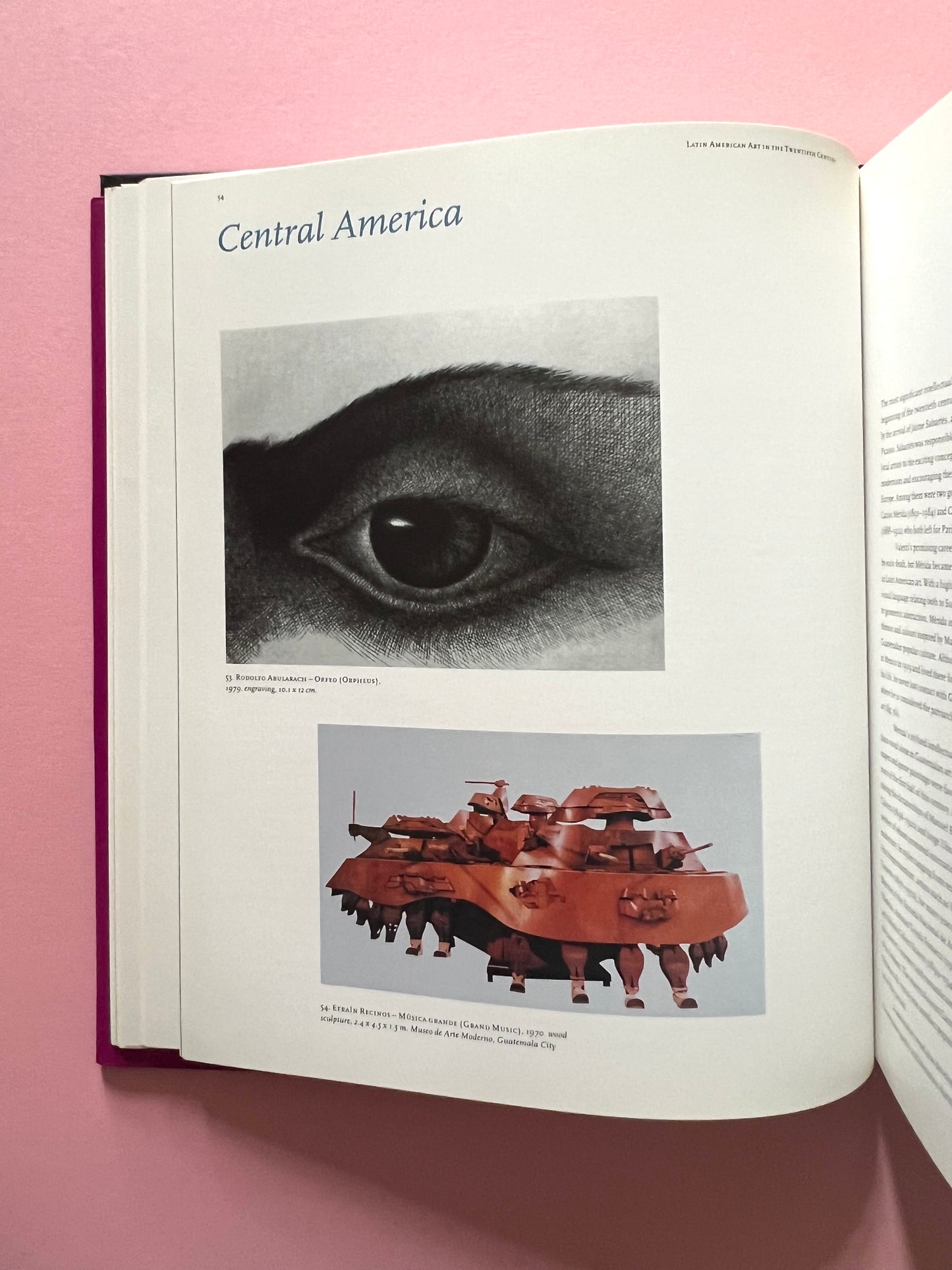 Latin American Art in the Twentieth Century