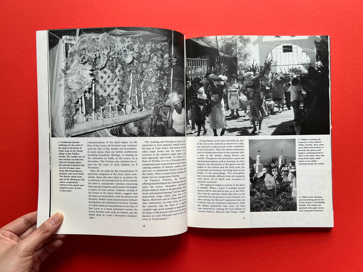 The Skeleton at the Feast