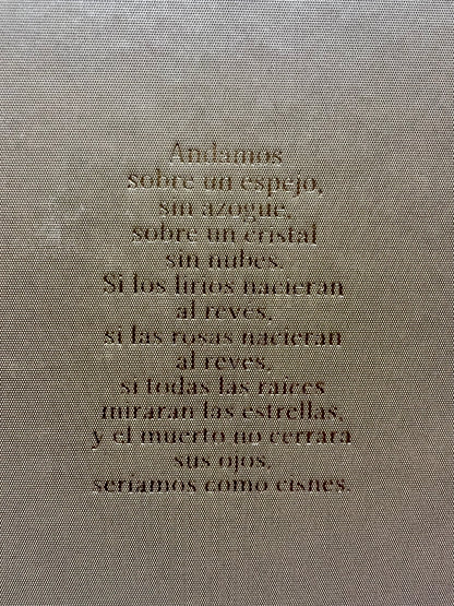 The Adventures of Guille and Belinda and The Illusion of an Everlasting Summer