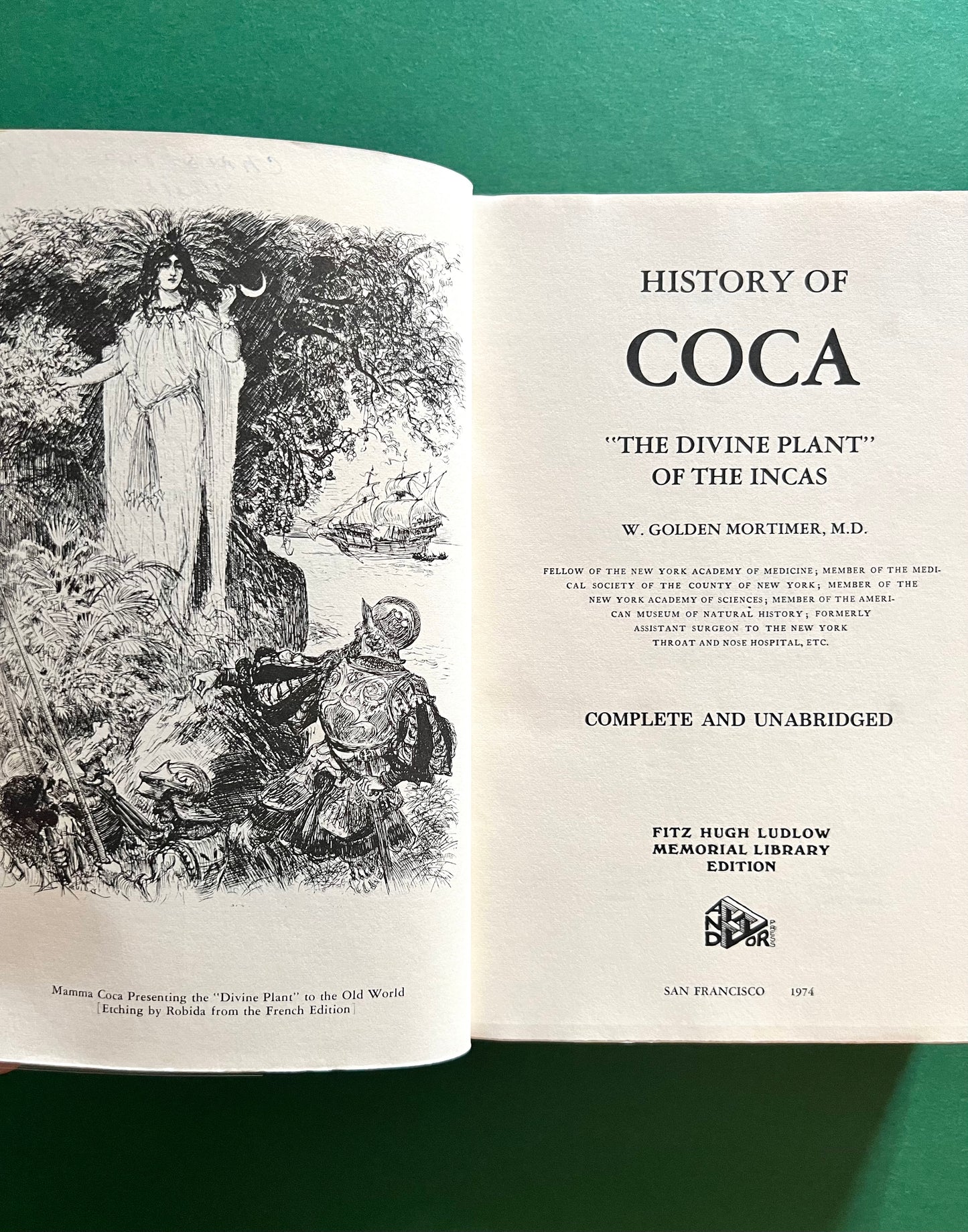 History of Coca: “The Divine Plant” of the Incas