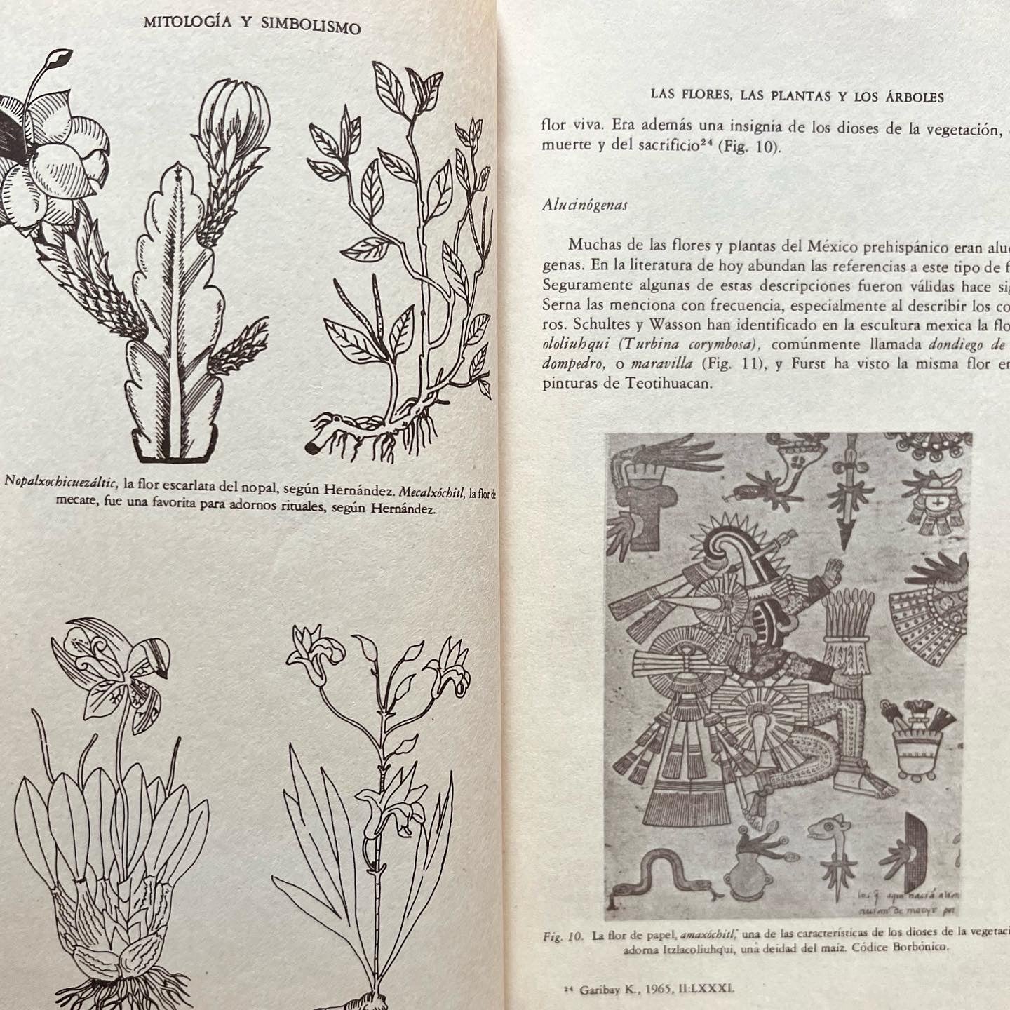 mitología y simbolismo de la flora en el méxico prehispánico