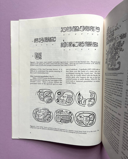 The Language of Maya Hieroglyphs