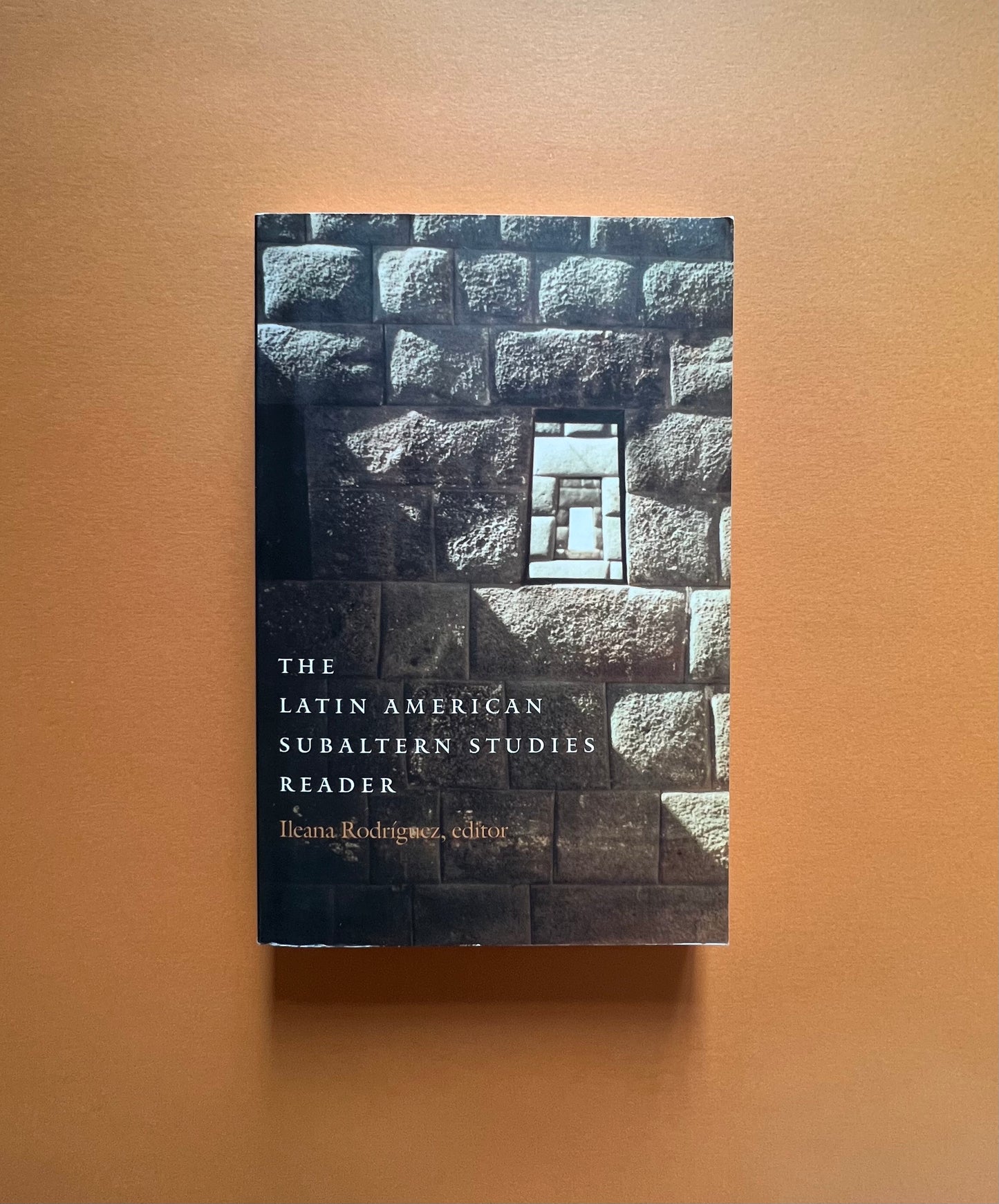 The Latin American Subaltern Studies Reader