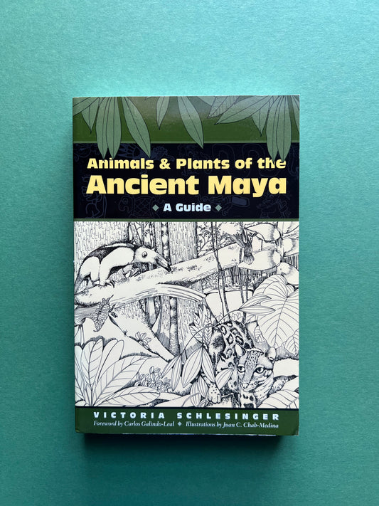 Animals and Plants of the Ancient Maya: A Guide