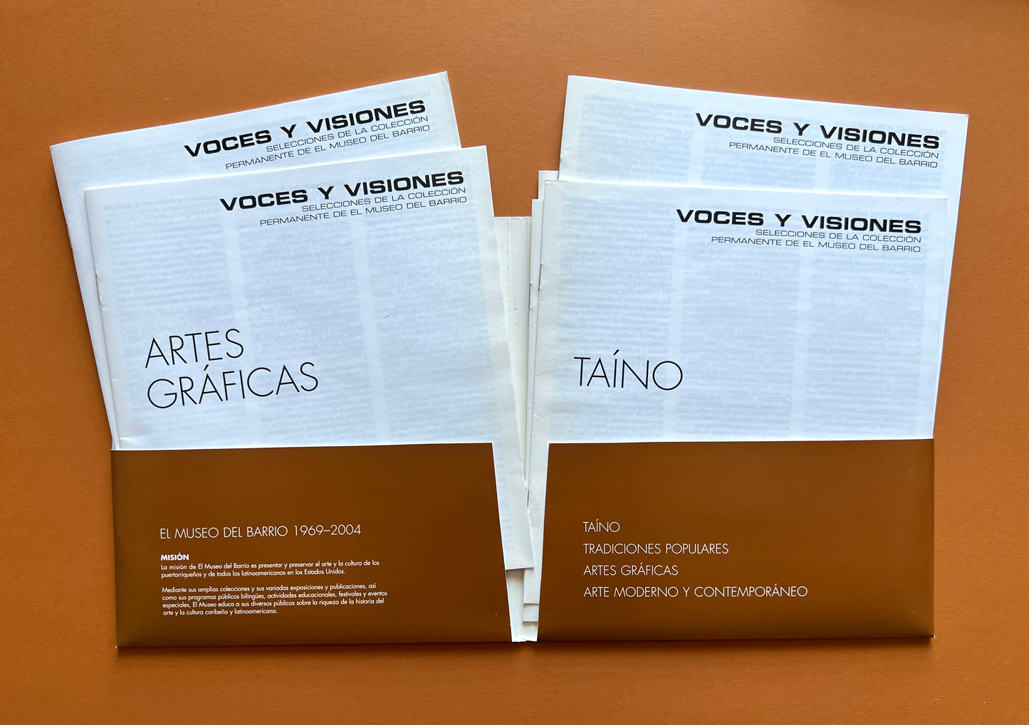 Voces Y Visiones: Highlights From El Museo Del Barrio's Permanent Collection
